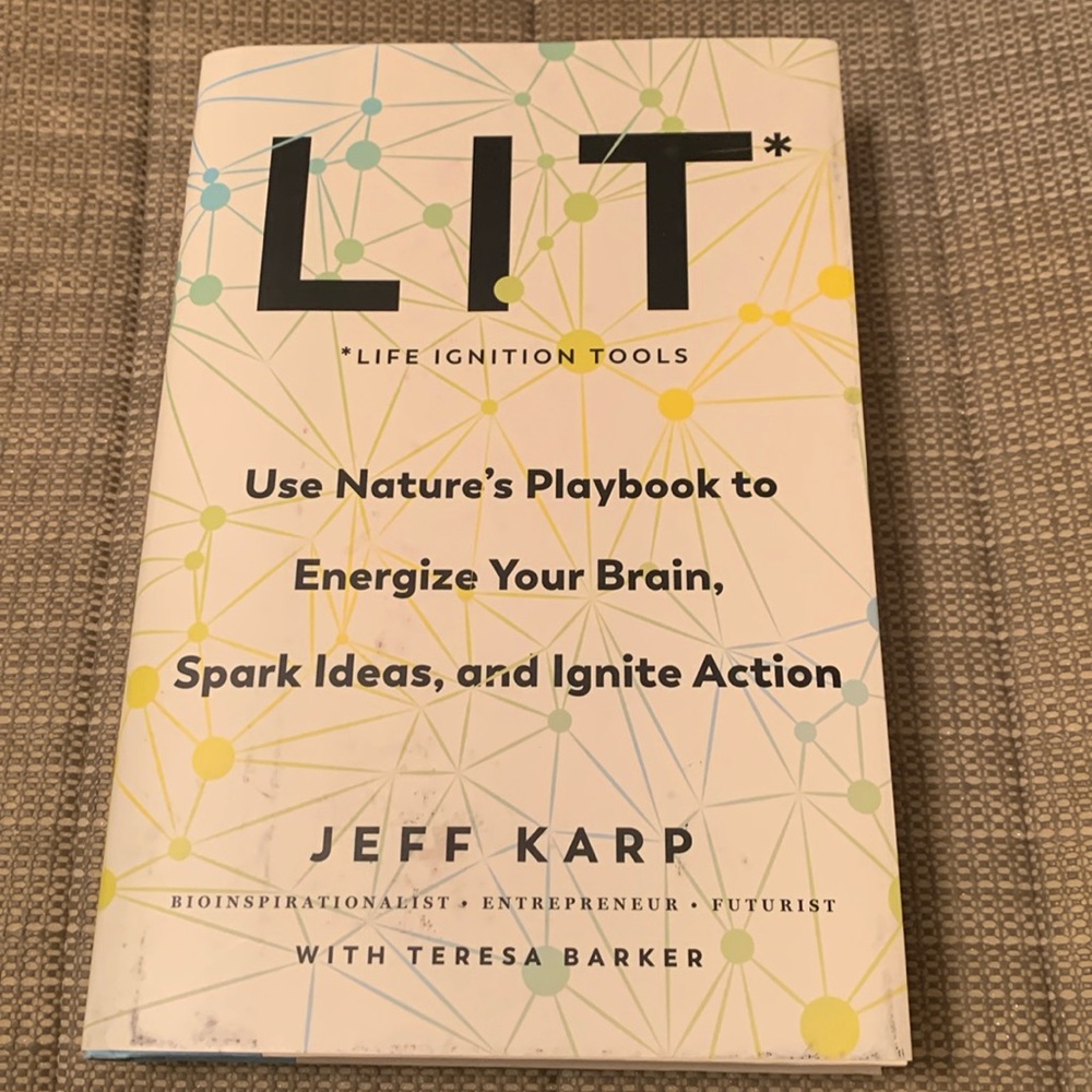 LIT. Life ignition tools guidebook by Jeff Karp